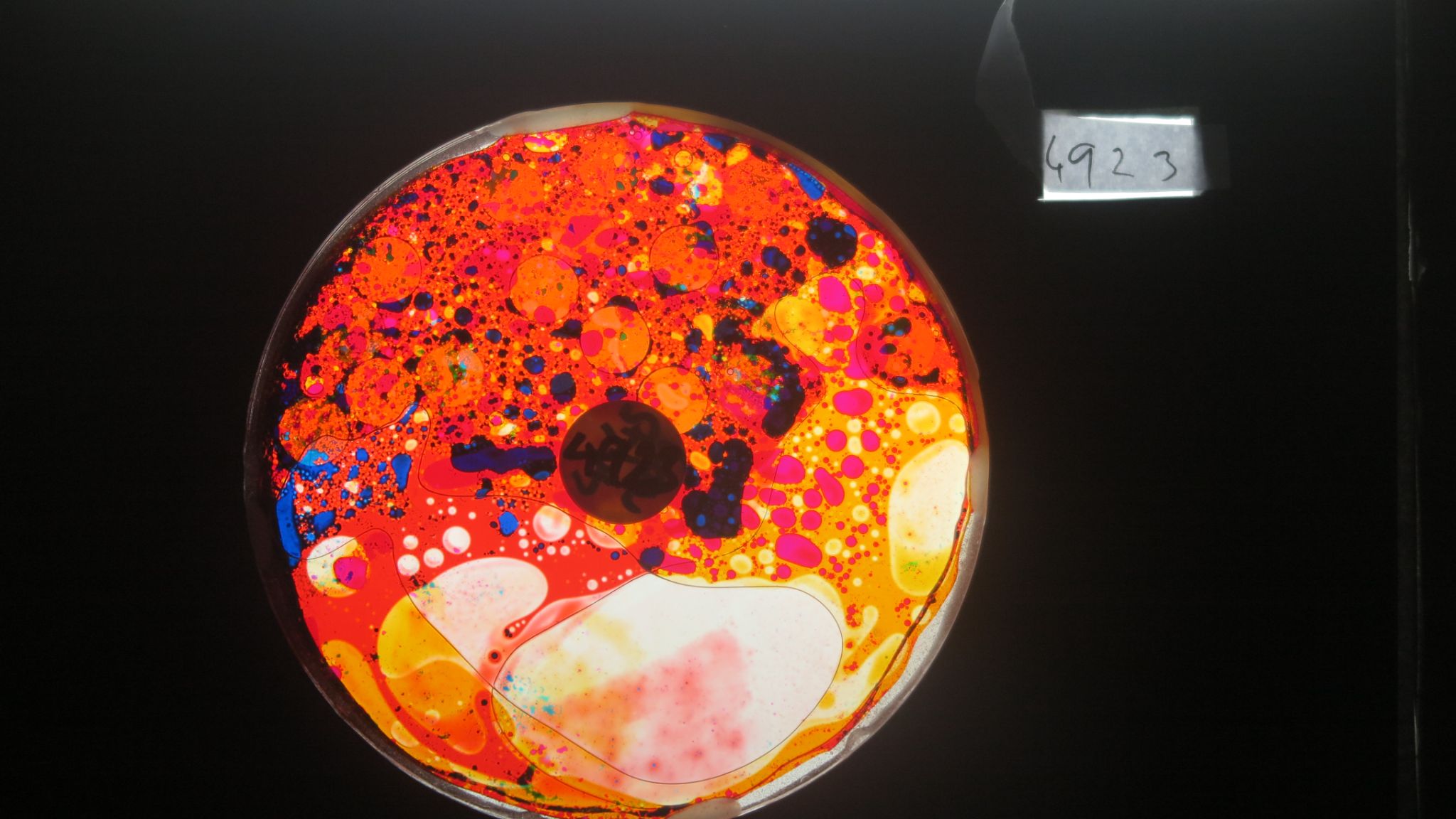 BV4923 bubble vision oil wheel